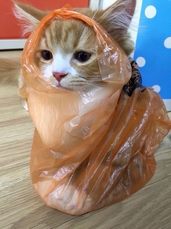 Nabersiinnnn bakalımmm?