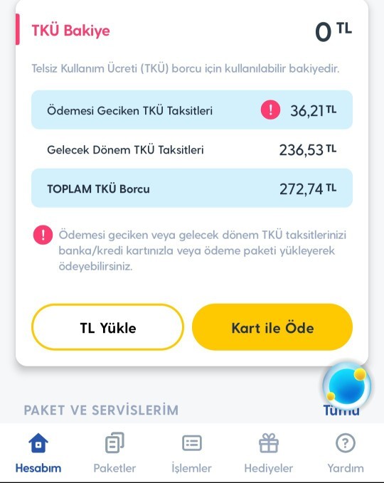 Bu neyin borcu?