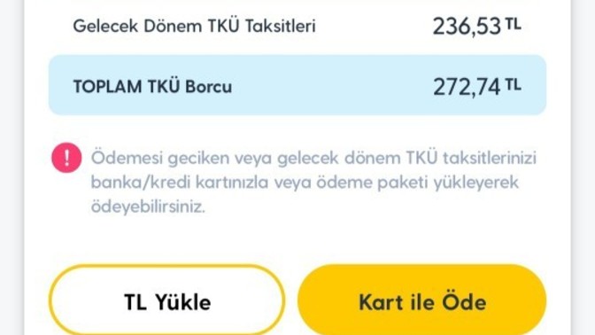Bu neyin borcu?