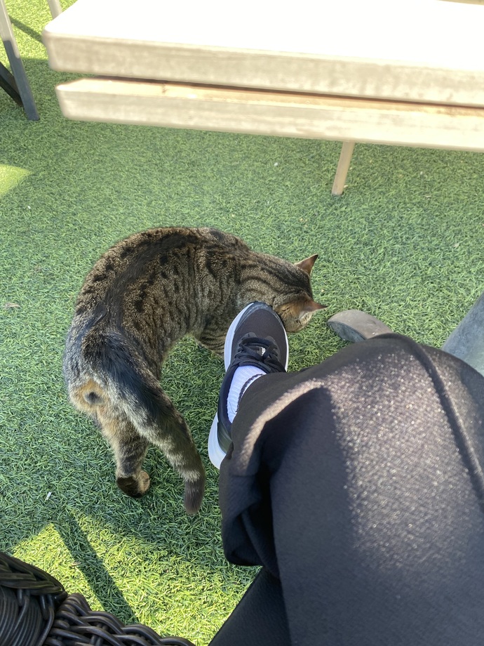 An itibariyle neler yapıyorsunuz?