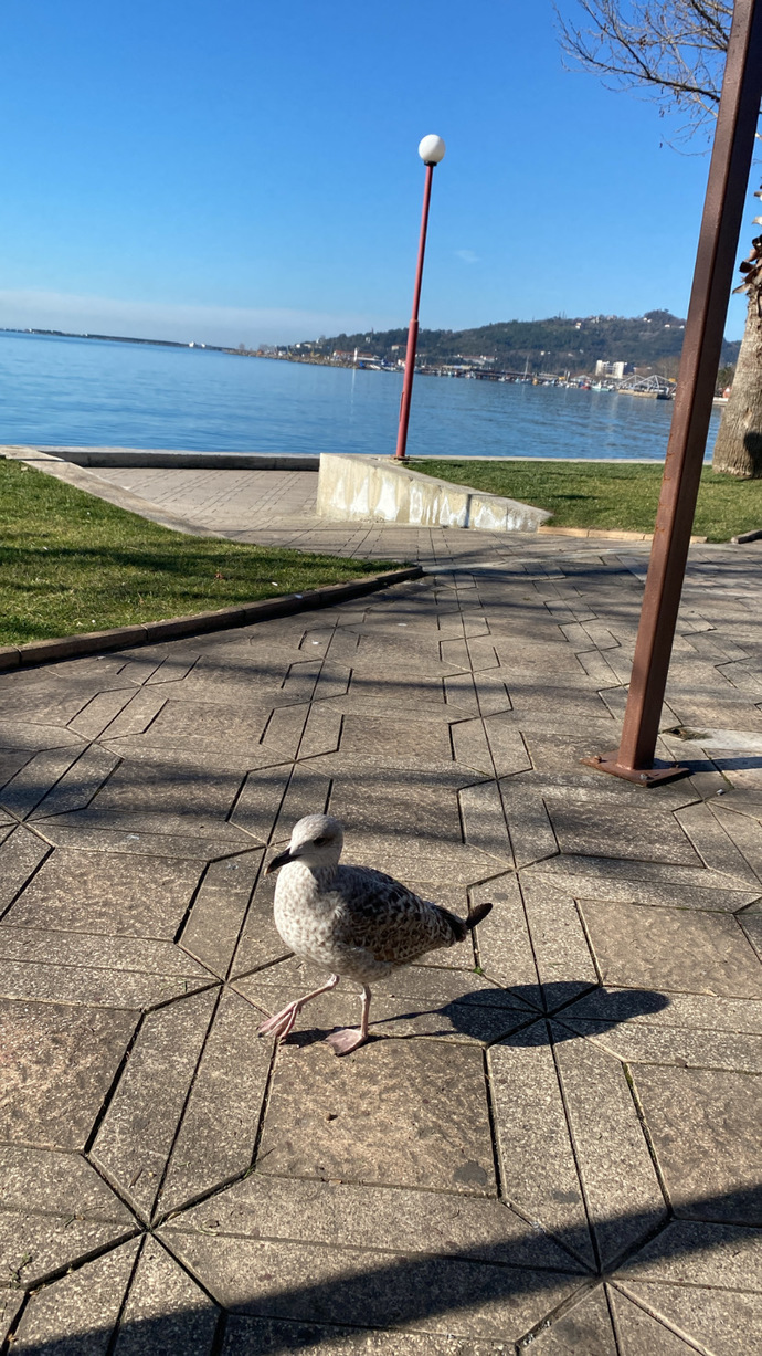 An itibariyle neler yapıyorsunuz?