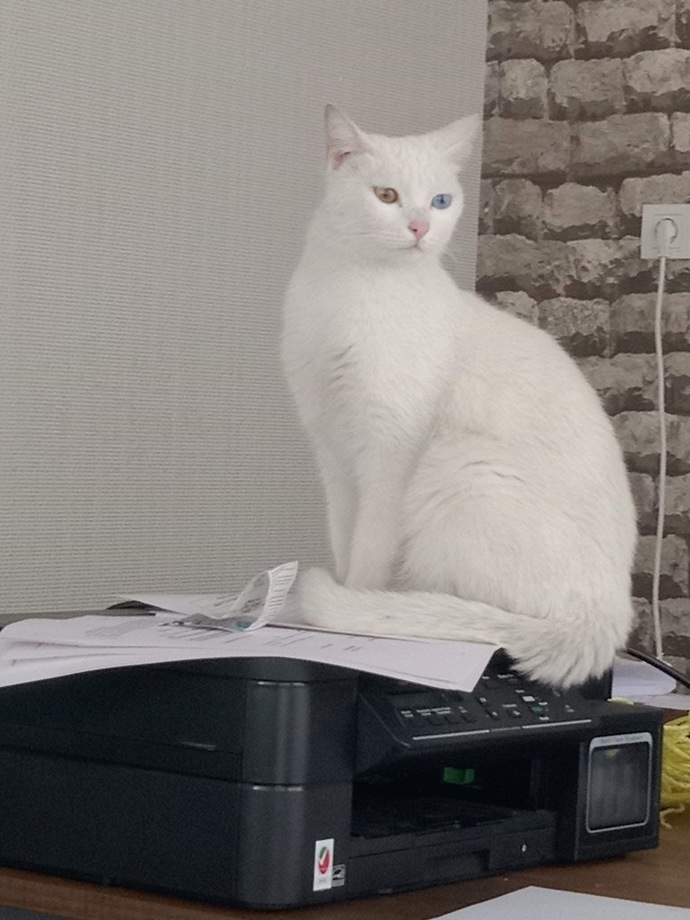 En Çok Üzüldüğünüz Kaybınız Ne oldu?