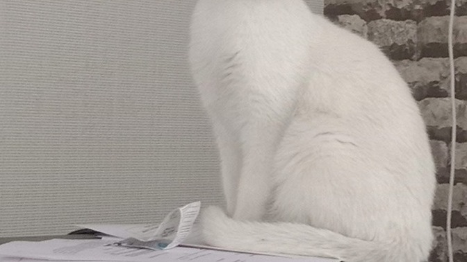 En Çok Üzüldüğünüz Kaybınız Ne oldu?