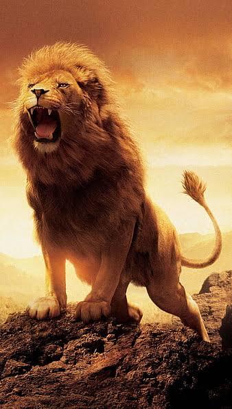Film çekecem senaryosu nasıl tutarmı?
