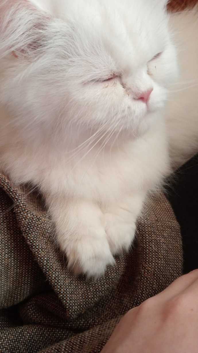 Kavuştuk sonundaaaa beklediğim her saniyeye değdi♥️