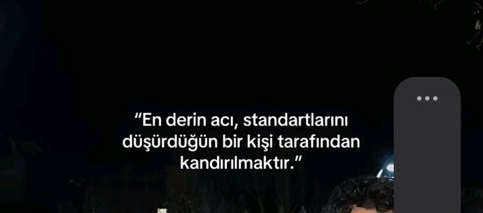 Standartlarını düşürmek ne demek?
