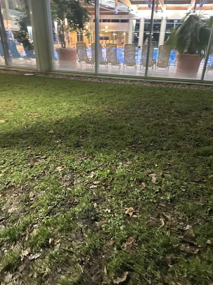 bugün günlerden spor