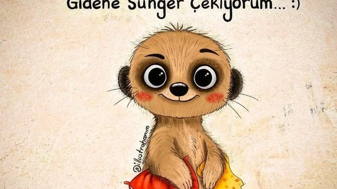 Seni bu sitede nasıl bilirler?