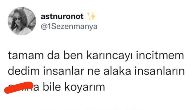 Karıncayı bile incitmez misiniz?