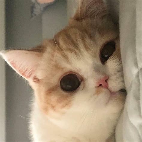 Tadı nasıl sevilmenin?