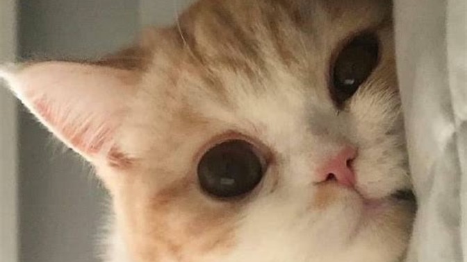Tadı nasıl sevilmenin?