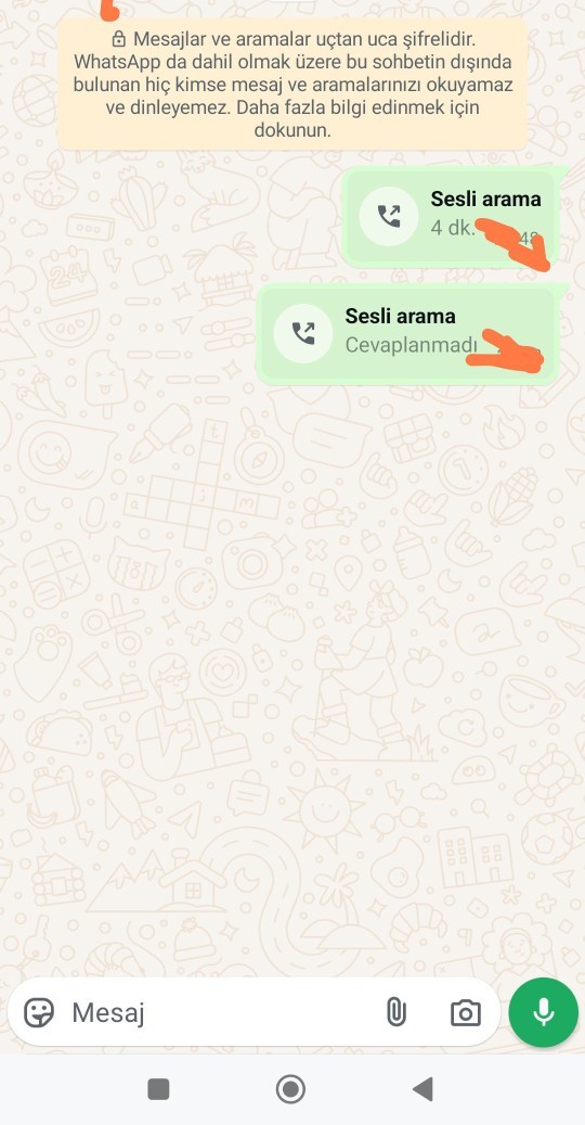 WhatsApp dan engellenmiş olsam nasıl anlarım?