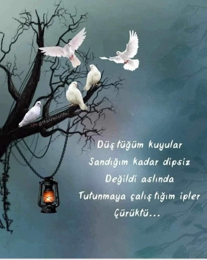 Seveceğimiz kişiyi seçebilir miyiz?