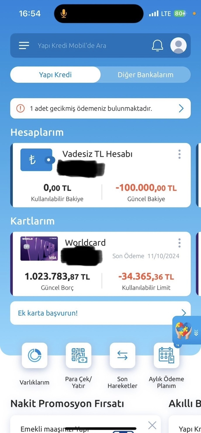 Eksi bakiye kullanan var mı. En fazla eksi kaç parayı gördünüz?