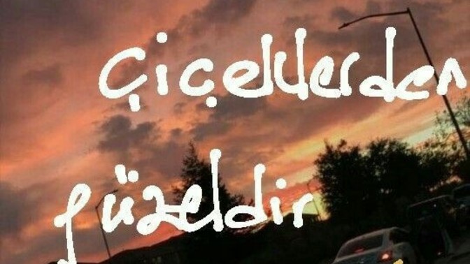 Sana bir hediye verecek olsam ne isterdin?