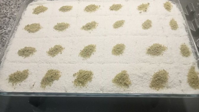 Gelin pastam nasıl olmuş?
