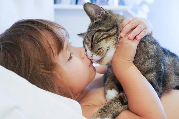 Köpek insanı mısınız kedi insanı mısınız?