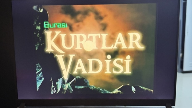 Benimle Kurtlar Vadisi izler misin?