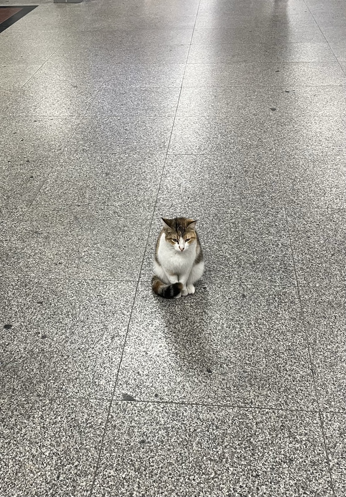 Çok sinirliyim nasıl geçer?
