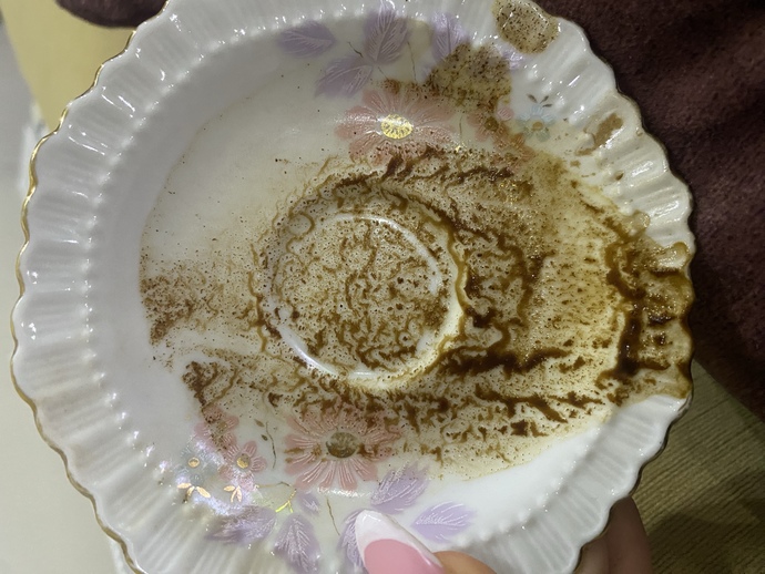 Hisleri kuvvetli bakacak olan var mı falıma?