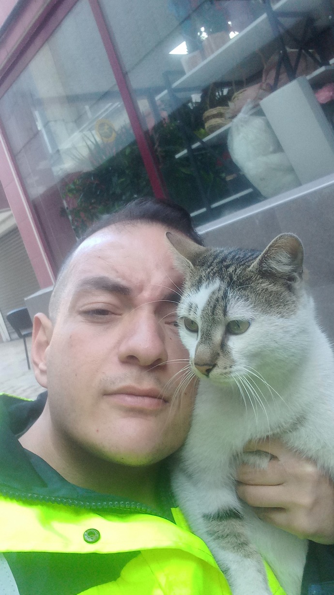 Kedi terörü? Kediniz sizi nasıl seviyor?