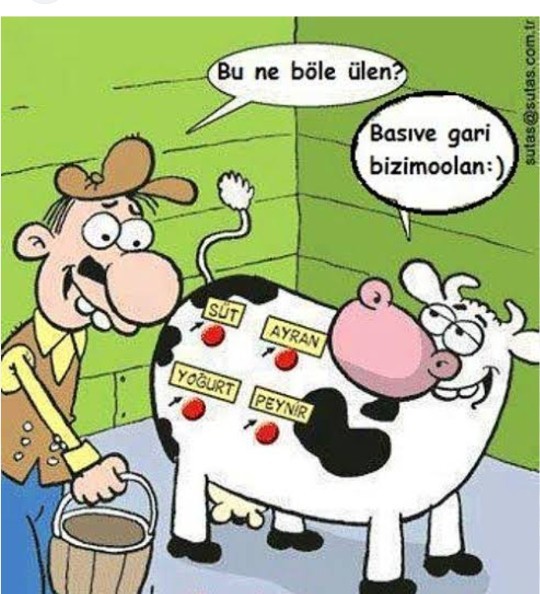 Sizin için diksiyonu güzel olanmi yoksa şiveli konusanmi öndedir?