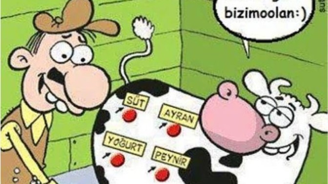 Sizin için diksiyonu güzel olanmi yoksa şiveli konusanmi öndedir?