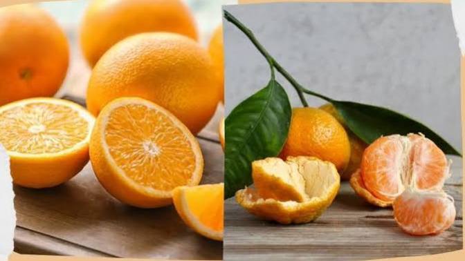 Mandalina mı portakal mı tercihin hangisi?