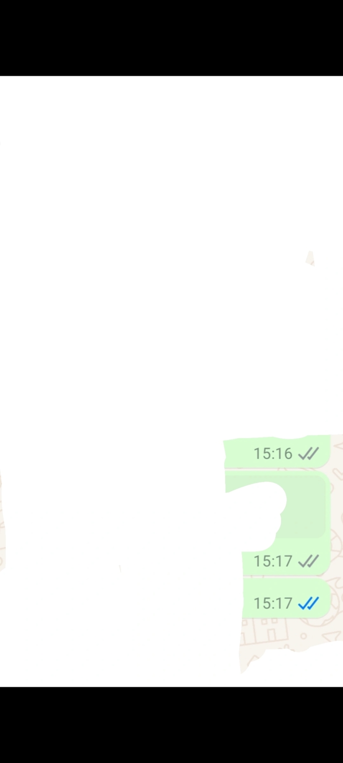 WhatsApp görüldü bilgisi?