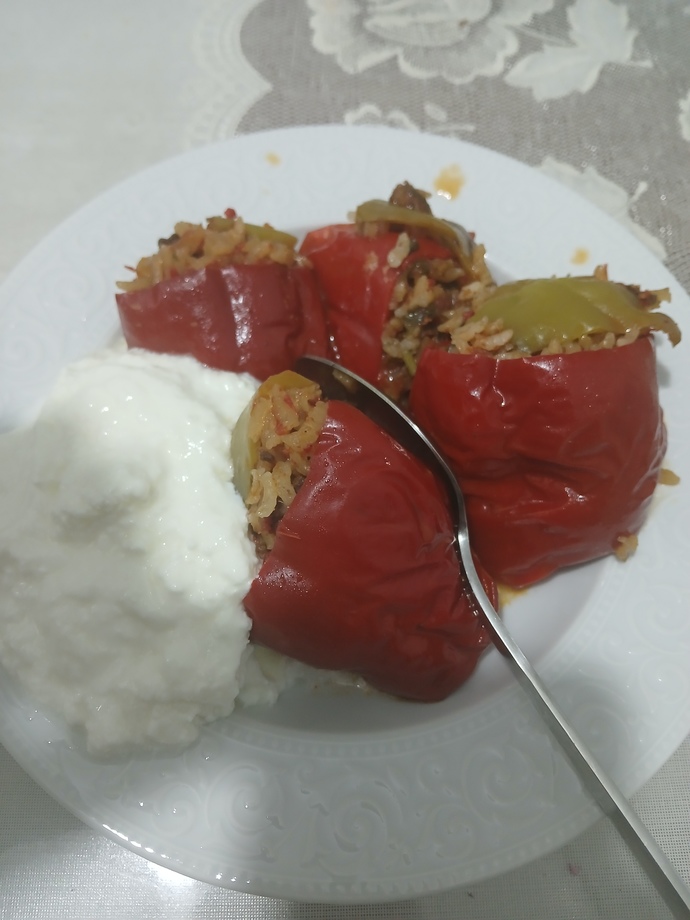 Biber dolması sever misiniz?