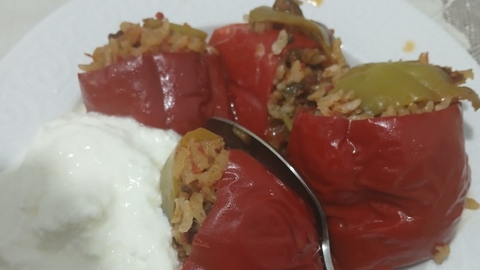Biber dolması sever misiniz?
