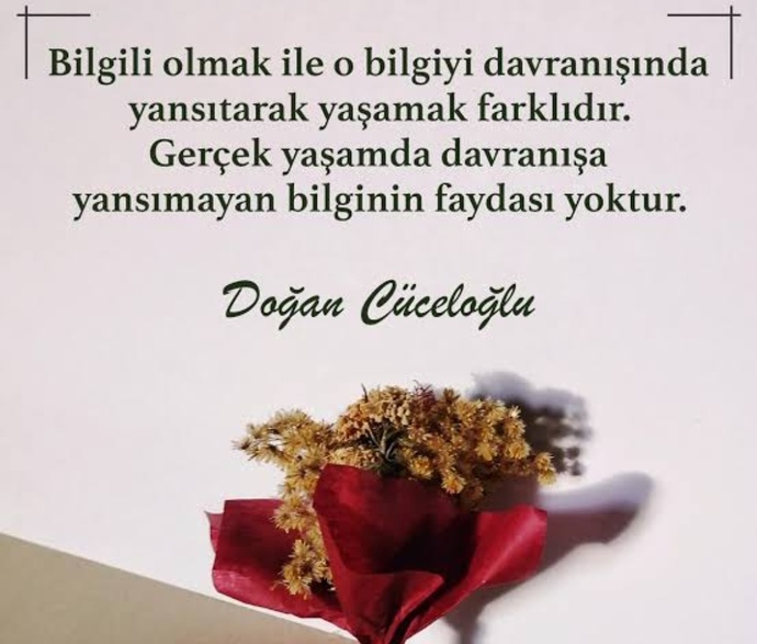 Bir konuda uzman olmayı mı, yoksa birçok konuda ortalama bir bilgi sahibi olmayı mı isterdin?