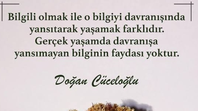 Bir konuda uzman olmayı mı, yoksa birçok konuda ortalama bir bilgi sahibi olmayı mı isterdin?