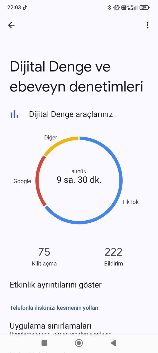Kendime tokat attım o ineternet acilmicak dedim ve 20 gb 3 gunde 2 gb kaldi?