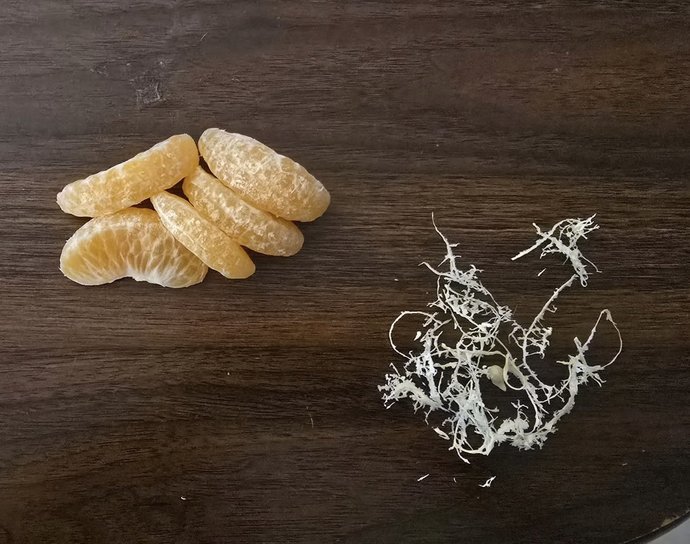 Mandalinayı böyle soyar mısınız?