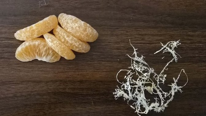 Mandalinayı böyle soyar mısınız?