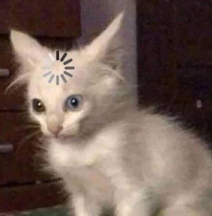 Evli kadınlar cidden öyle mi konuşursunuz?