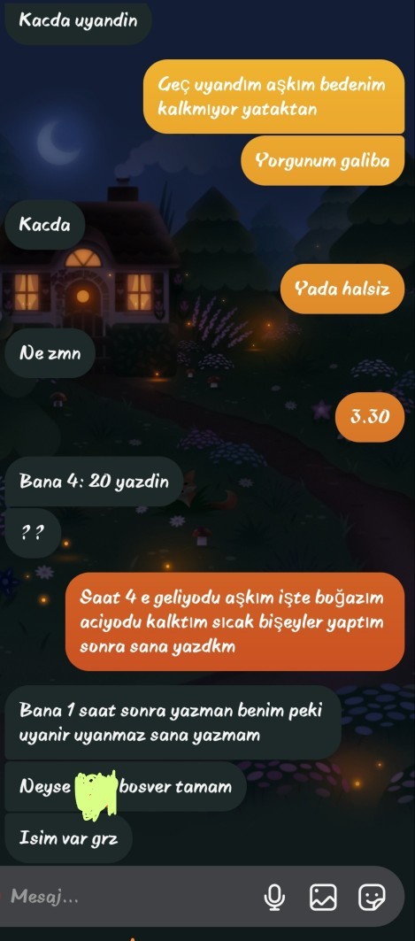 Uyanır uyanmaz yazmadım diye kavga çıkaran sevgili?
