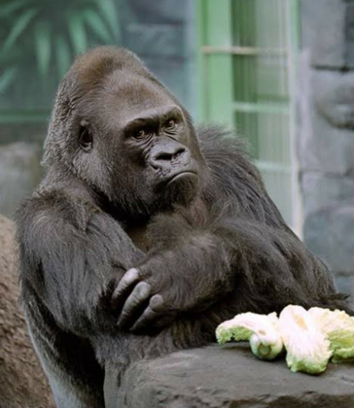 Erkekler mi daha alıngan kadınlar mı?