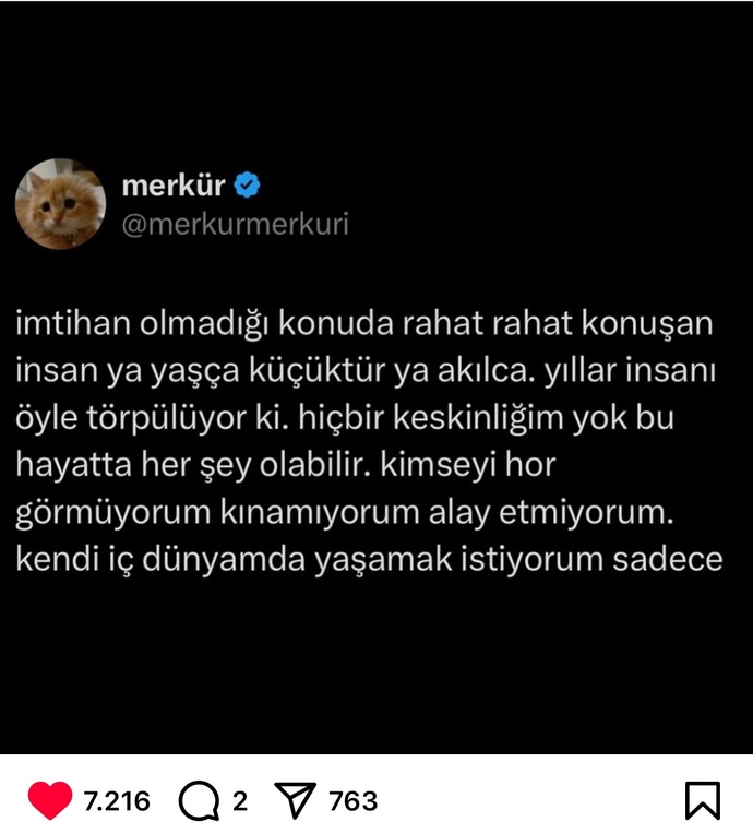 İmtihan olmadığınız konular hakkında büyük konuşur musunuz?