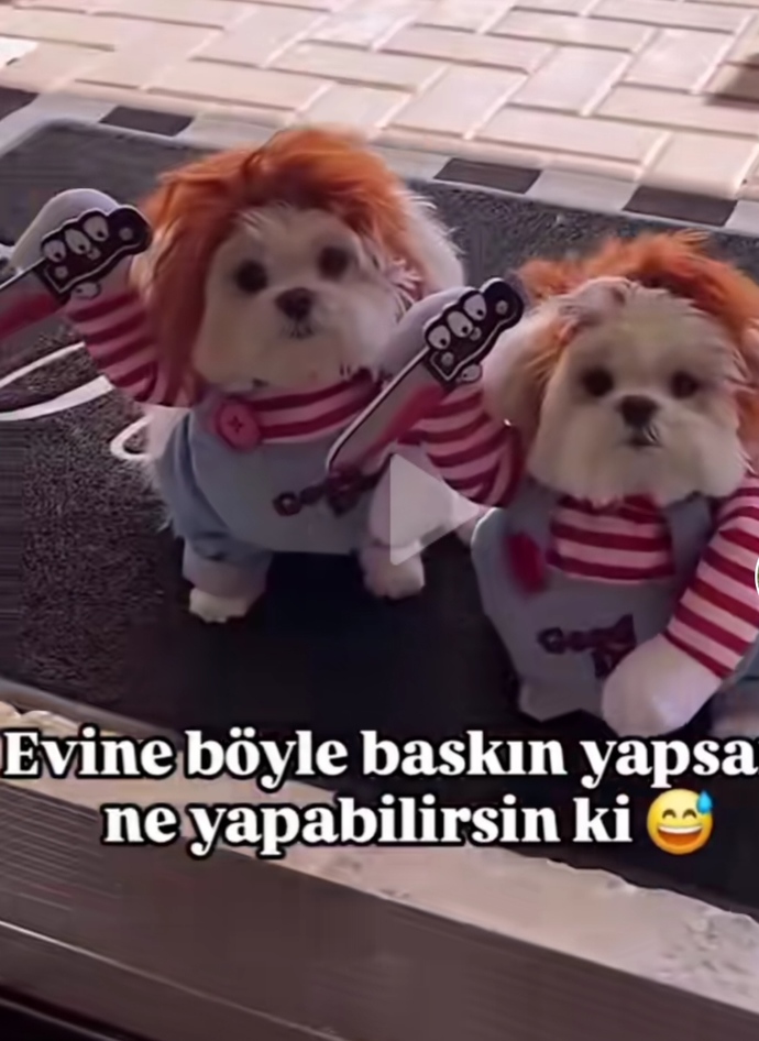 Evinize böyle baskın yapsam ne yapabilirsiniz ki?