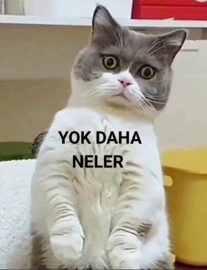 Yazmak isteyen bir şekilde yazıyor valla öyle değil mi?