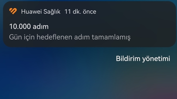 Kaç adım attınız bugün gencolar?