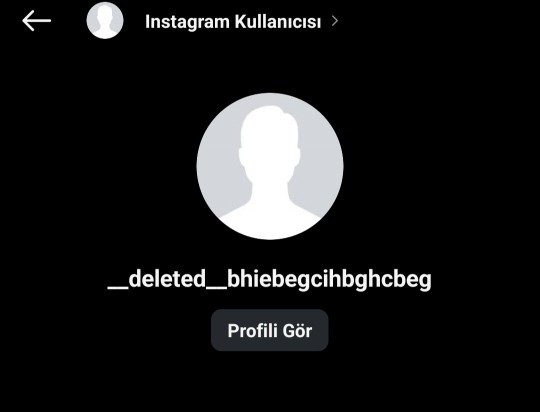 Arkadaşlar bazi ınstagram hesaplarında Instagram Kullanıcı diyor hesap adi yaziyor bazisind delete ne diyor hesap var mı  yokmu?