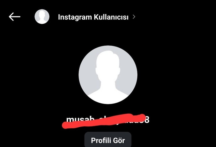 Arkadaşlar bazi ınstagram hesaplarında Instagram Kullanıcı diyor hesap adi yaziyor bazisind delete ne diyor hesap var mı  yokmu?