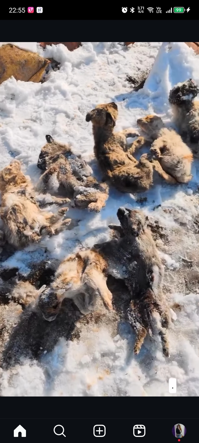 Vicdansız insanların aramızda yaşamaya ne hakkı var?