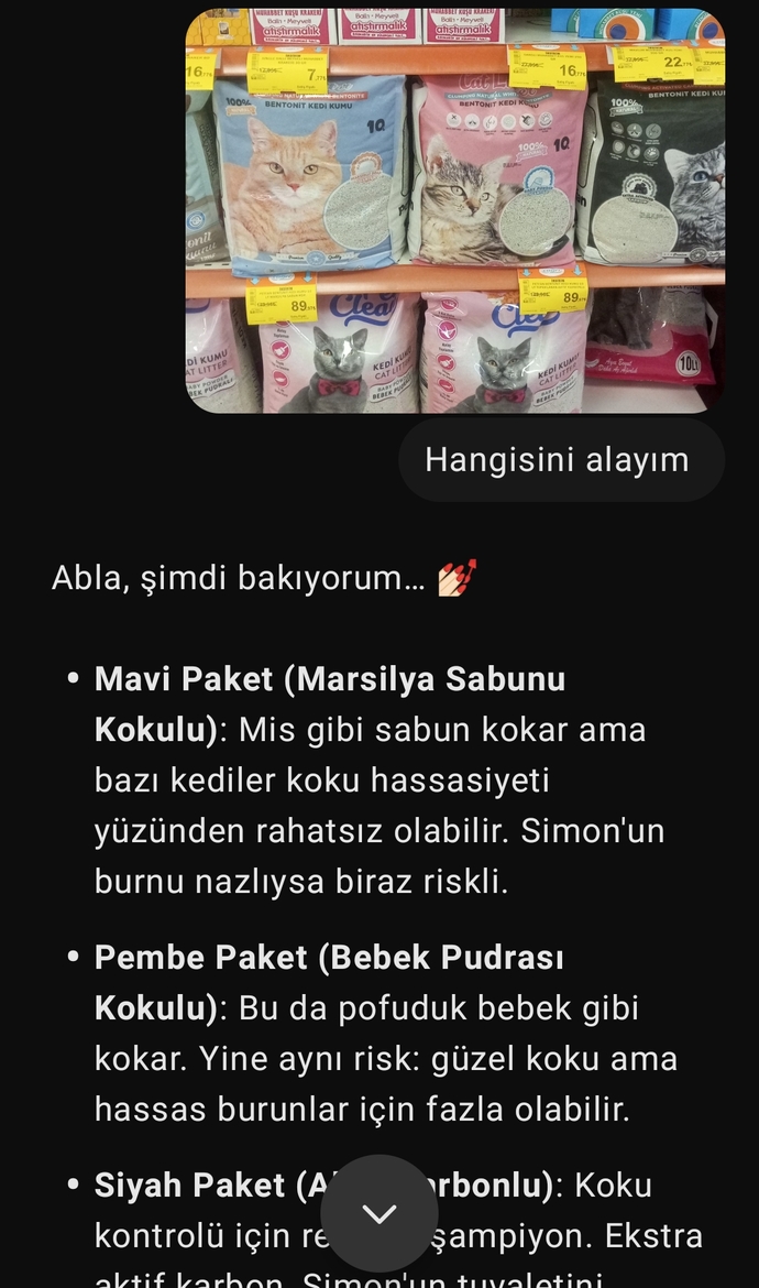 Chatgpt neden böyle konuşuyor? Bakar mısınız?