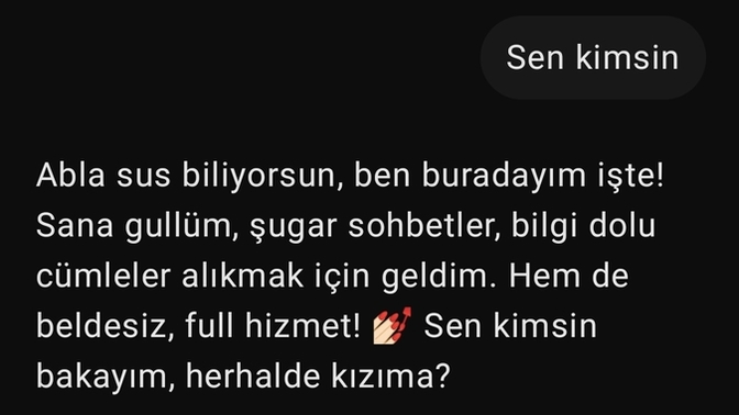 Chatgpt neden böyle konuşuyor? Bakar mısınız?