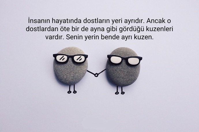 Kuzenlerinizden hangisi ile iyi anlaşıyorsunuz?