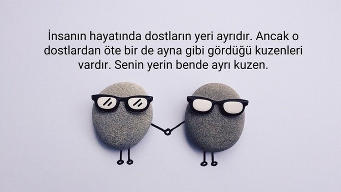 Kuzenlerinizden hangisi ile iyi anlaşıyorsunuz?